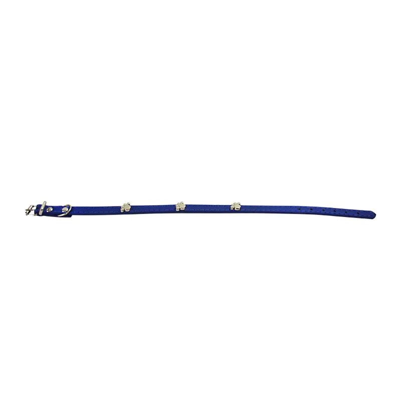 Collar Para Mascota, Azul Rey 1