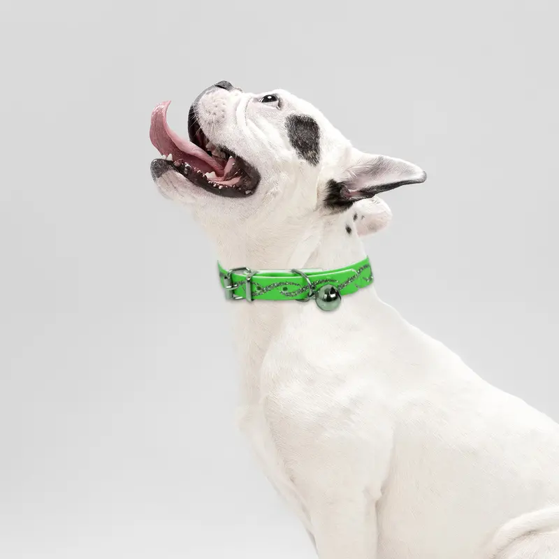 Collar Para Mascota Color Verde 30Cm 1