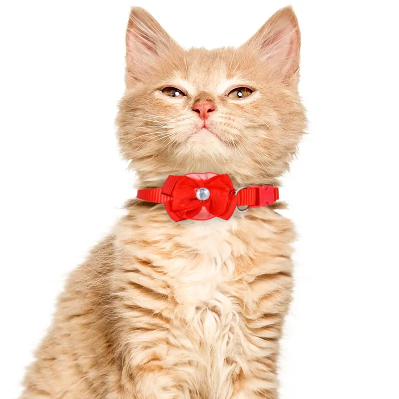 Collar Para Mascota Con Flor Roja 1