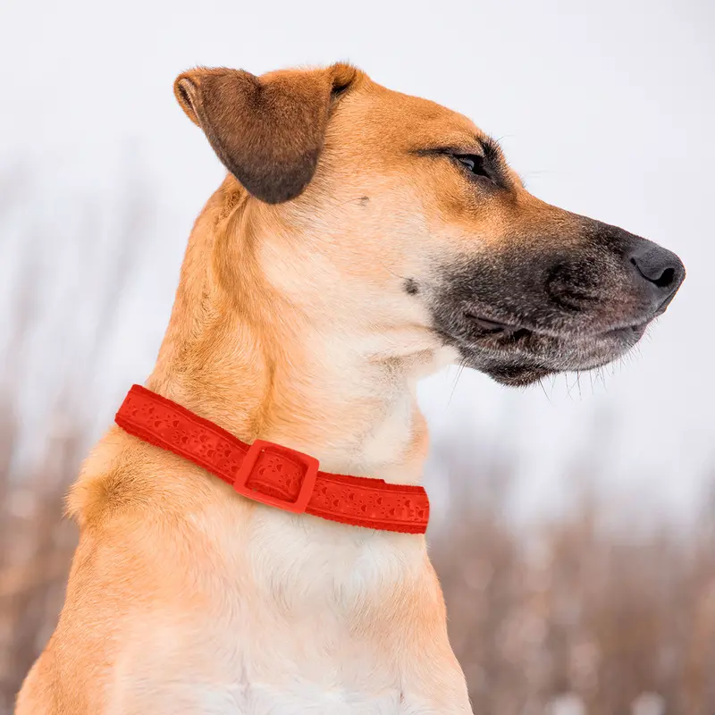 Collar Para Mascota, Diseño Huellitas, Color Rojo 1