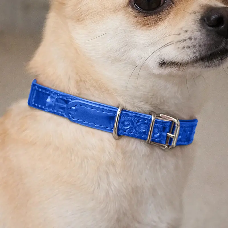 Collar Para Mascota, Vinil, Color Azul Metálico 1