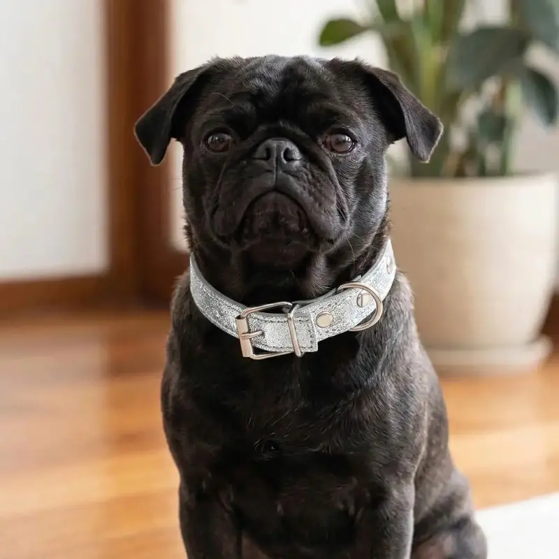 Collar Para Mascota, Vinil, Color Gris Metálico 2