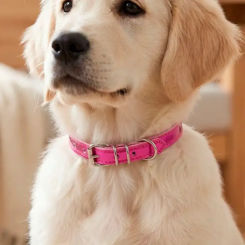 Collar Para Mascota, Vinil, Color Rosa Metálico 2