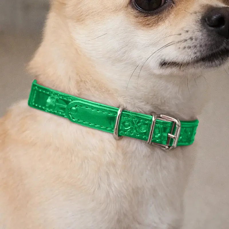 Collar Para Mascota, Vinil, Color Verde Claro 1