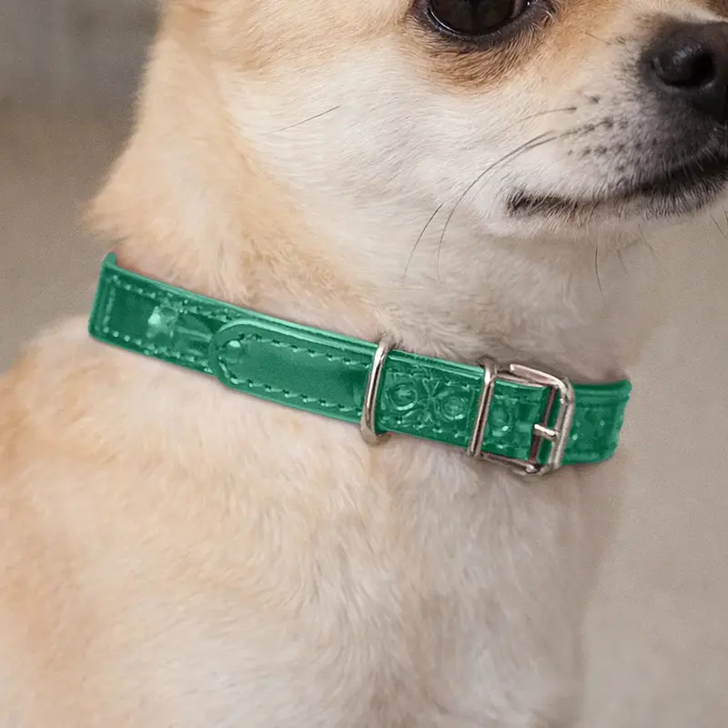 Collar Para Mascota, Vinil, Color Verde Oscuro 1