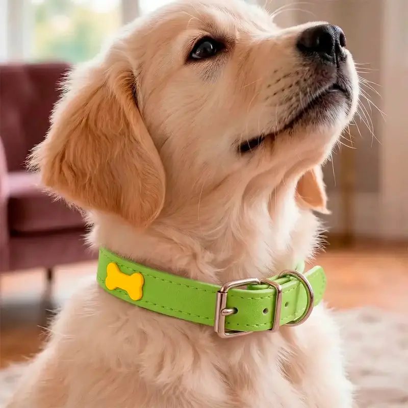 Collar Para Mascota, Vinil, Color Verde Y Amarillo 2