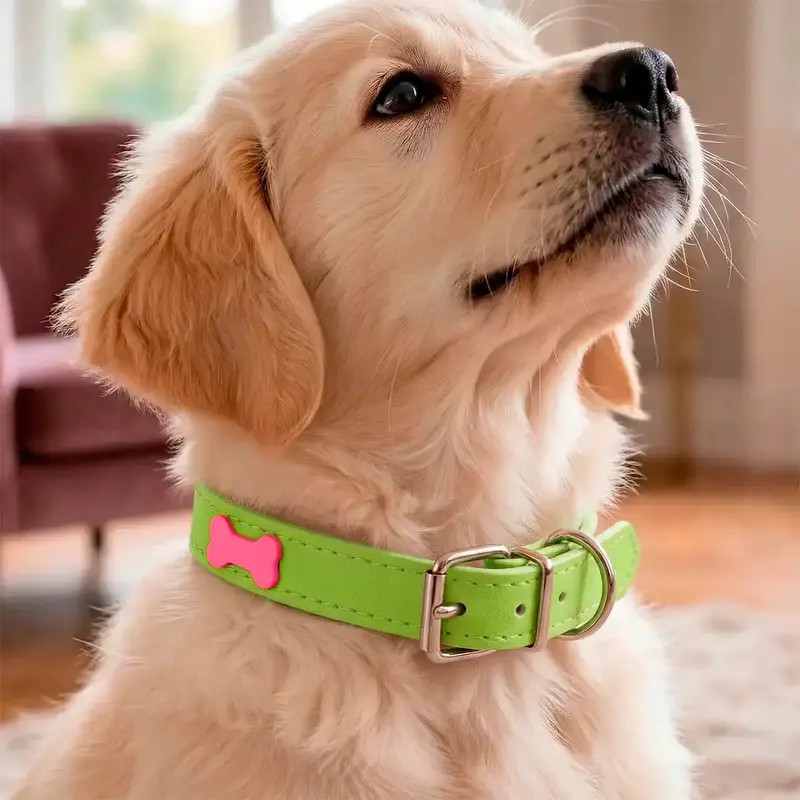 Collar Para Mascota, Vinil, Color Verde Y Rojo 2