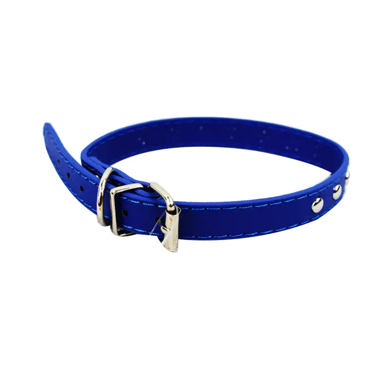Collar Para Perro, Color Azul 1