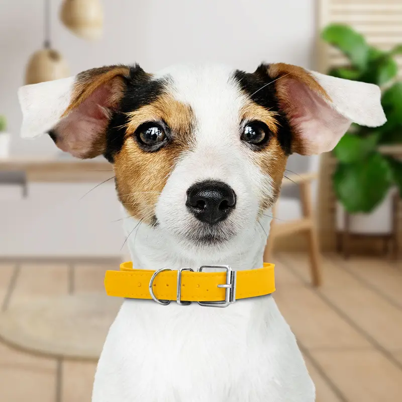 Collar Sintético Color Amarillo Para Mascota 1