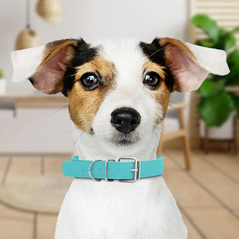 Collar Sintético Color Aqua Para Mascota 1