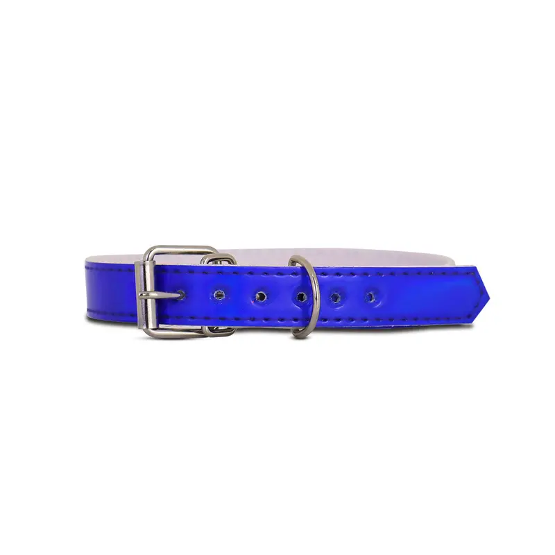 Collar Sintético Color Azul Rey Para Mascota 2
