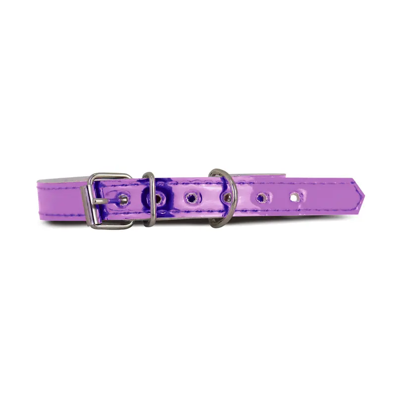 Collar Sintético Color Lila Para Mascota 2