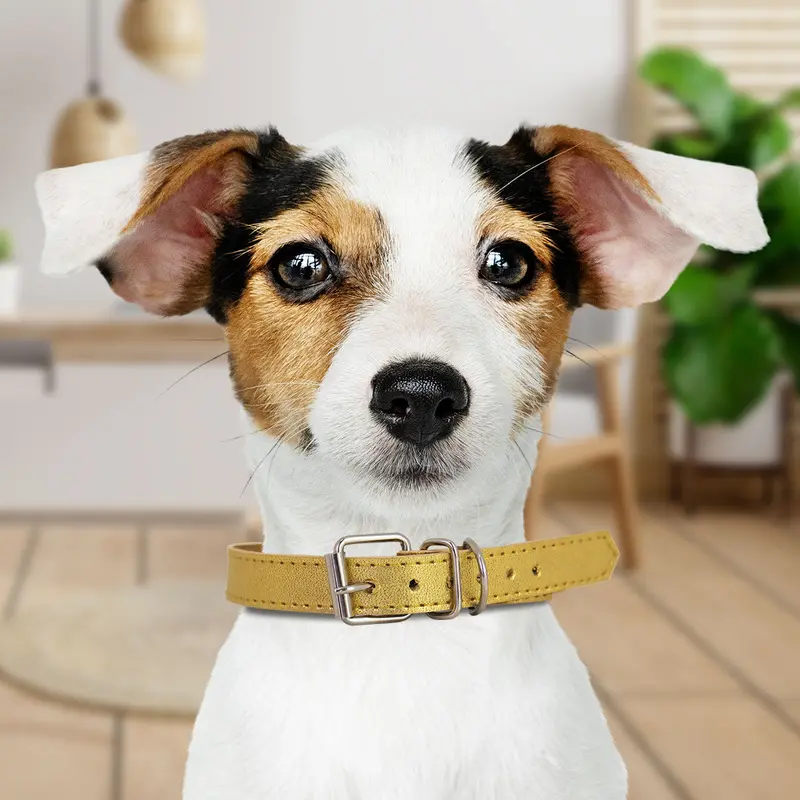 Collar Sintético Color Oro Para Mascota, 35 Cm 1