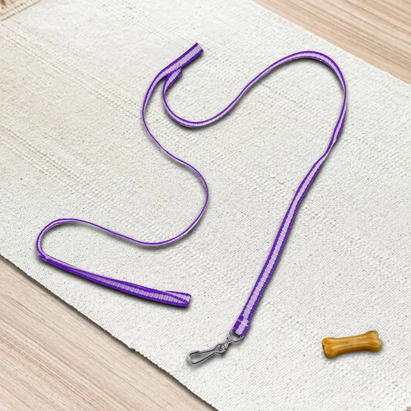 Correa Básica Color Negro Con Morado Para Mascota 2