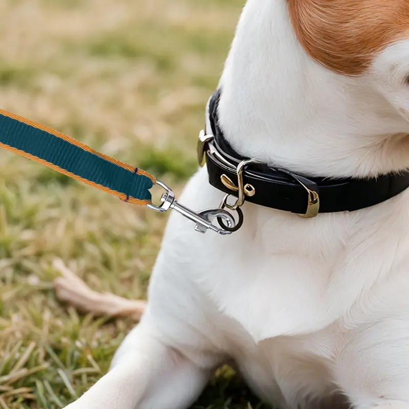 Correa Básica Para Mascota 1
