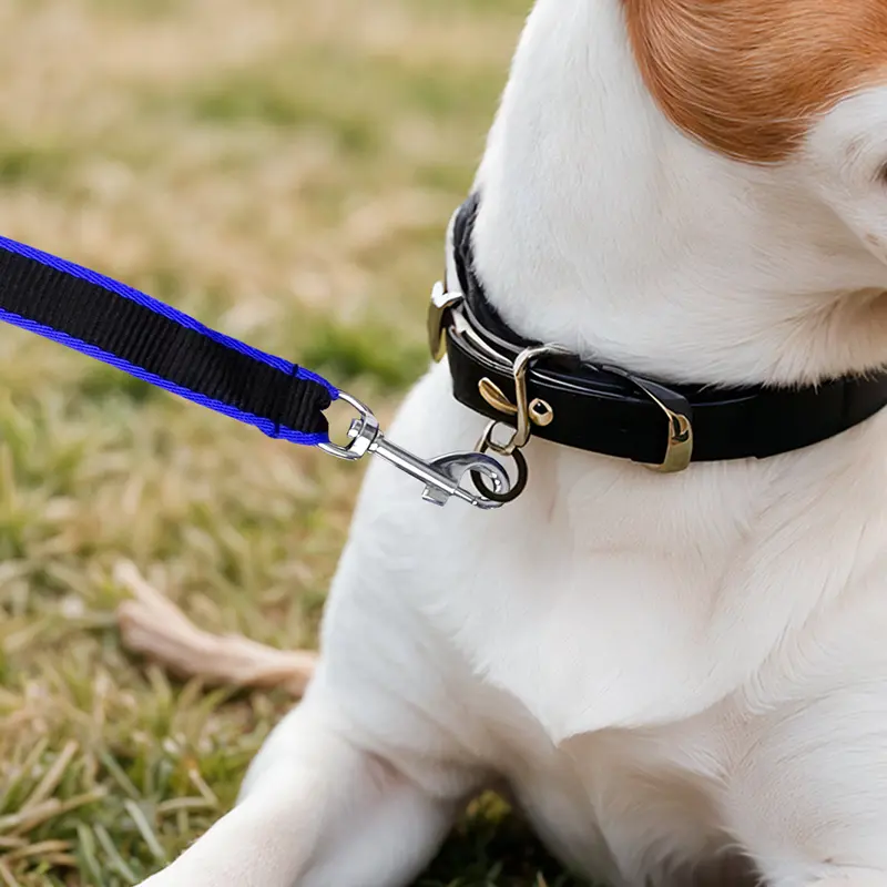 Correa Básica Para Mascota, Color Azul Y Negro 1