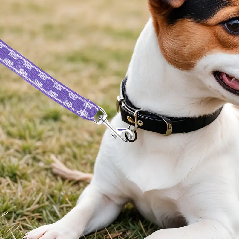 Correa Básica Para Mascota, Color Morado 1