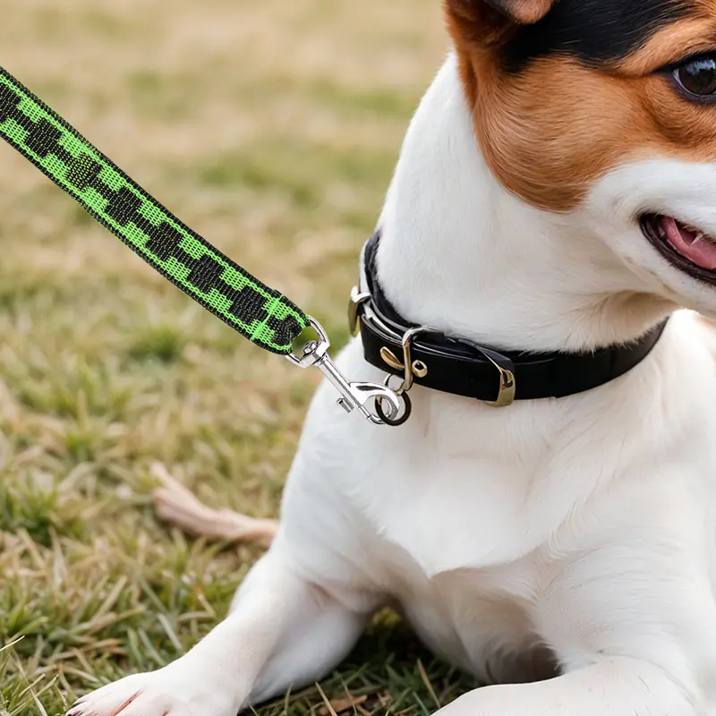 Correa Básica Para Mascota, Color Verde 1