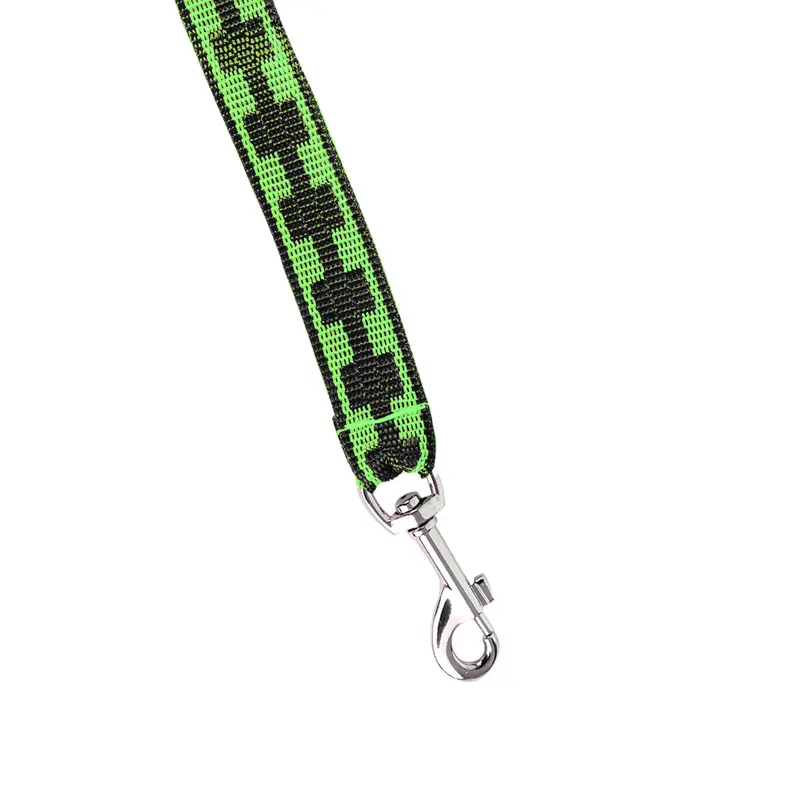Correa Básica Para Mascota, Color Verde 2