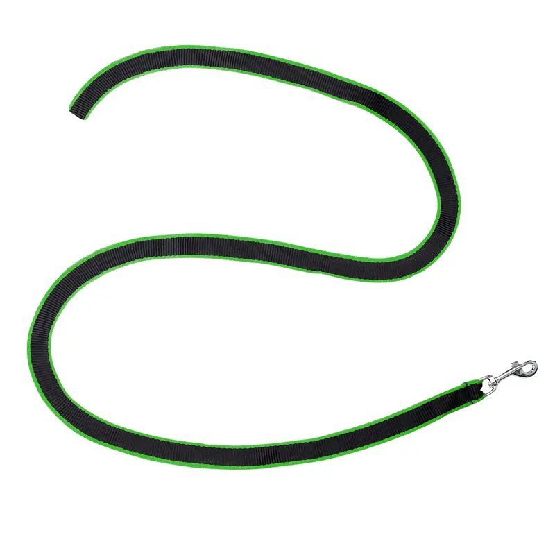 Correa Básica Para Mascota, Color Verde Y Negro 2