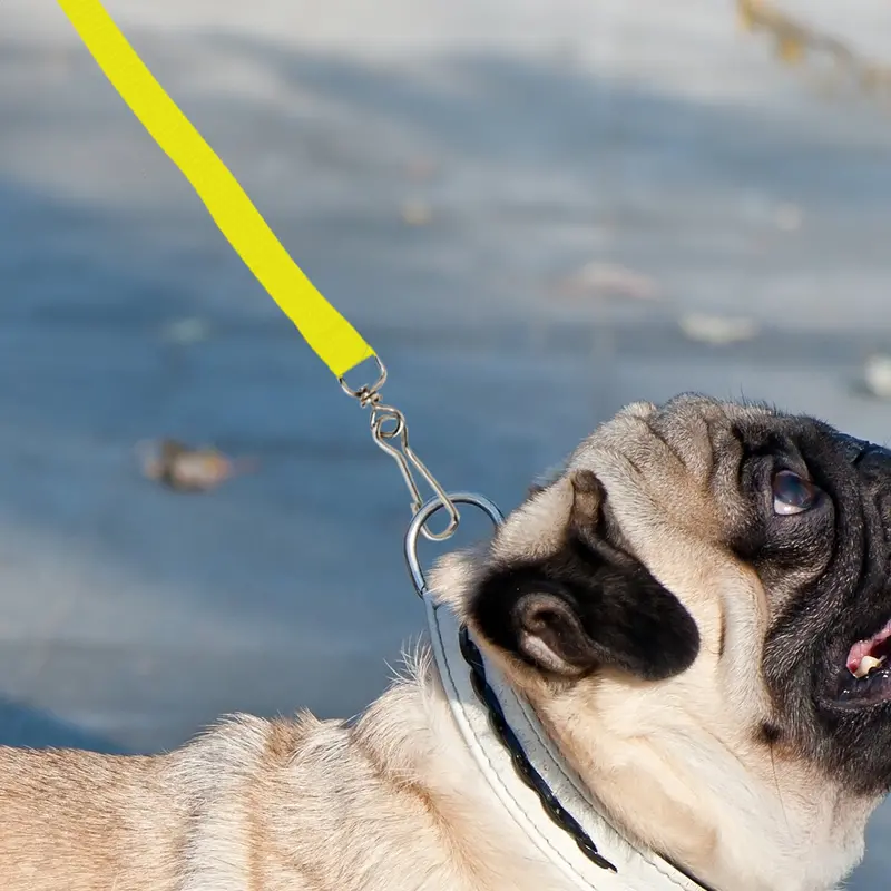 Correa Clásica Para Mascota, Color Amarillo 1
