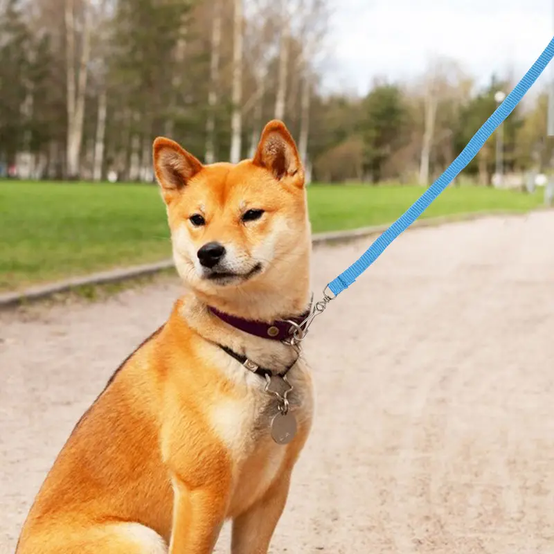 Correa Clásica Para Mascota Color Azul 1