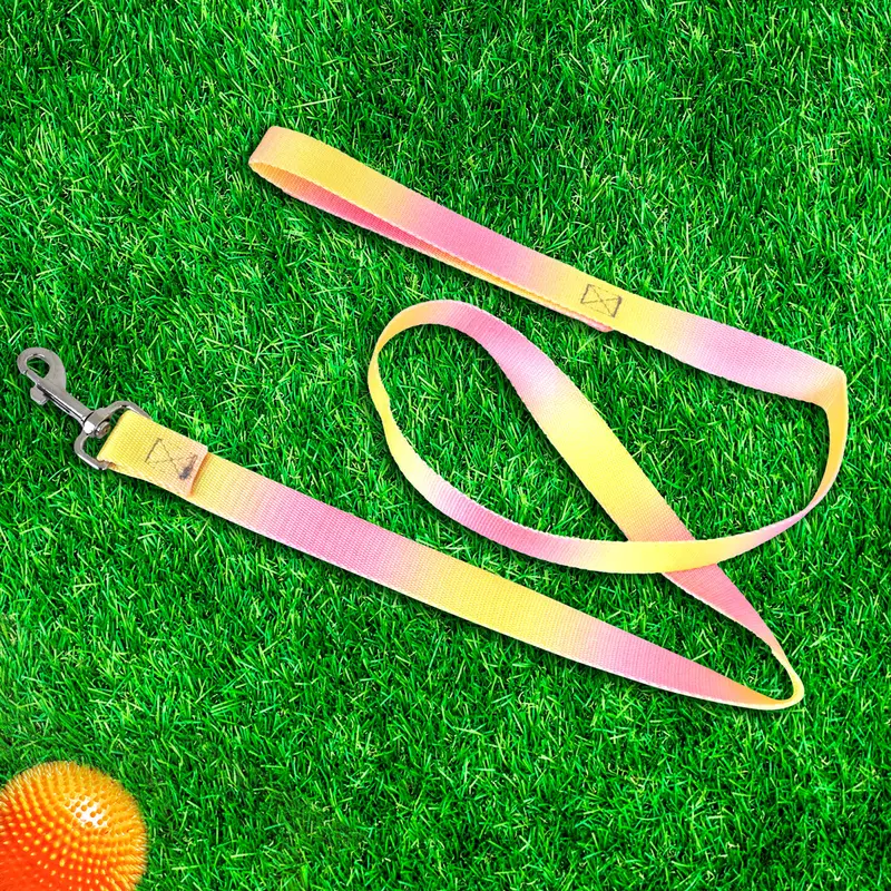 Correa Color Amarillo Con Rosa Para Perro, 120Cm 2