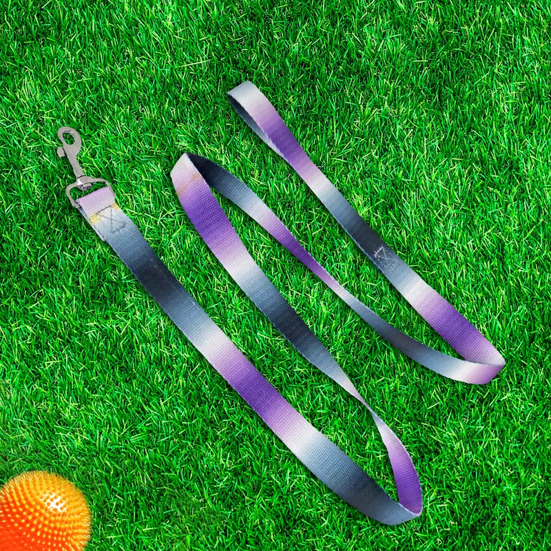 Correa Color Azul Con Morado Para Perro, 120Cm 2