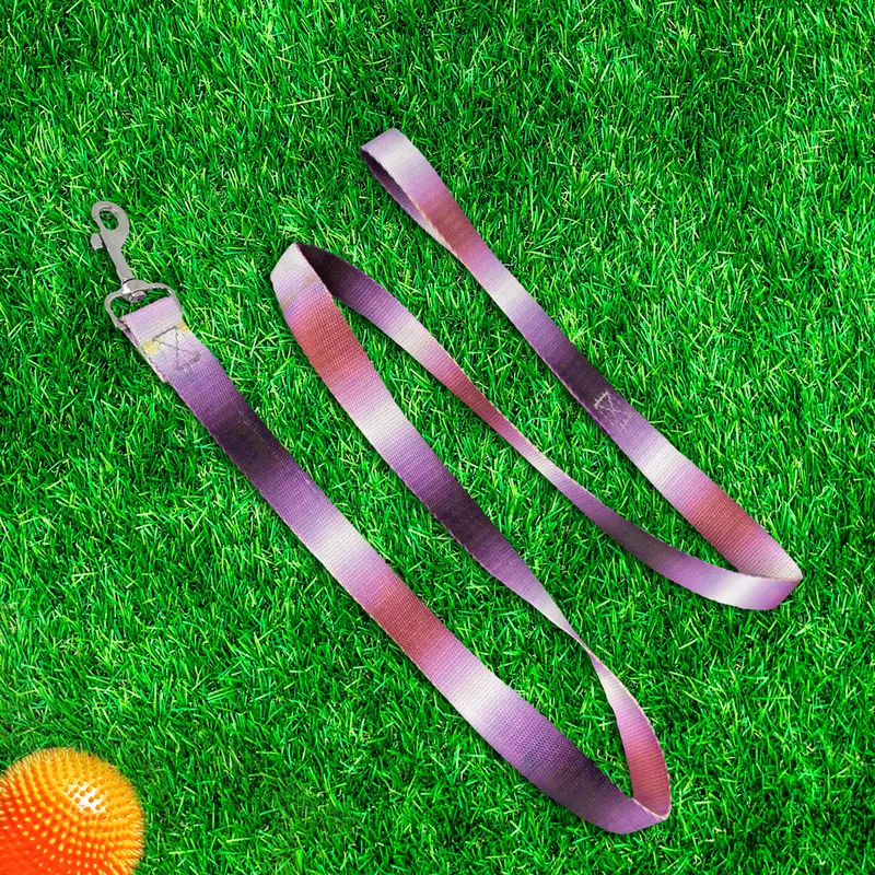 Correa Color Azul Con Rosa Para Perro, 120Cm 2
