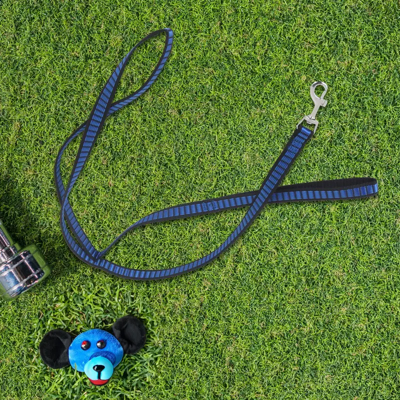 Correa Color Azul Rey Para Perro, 130Cm 2