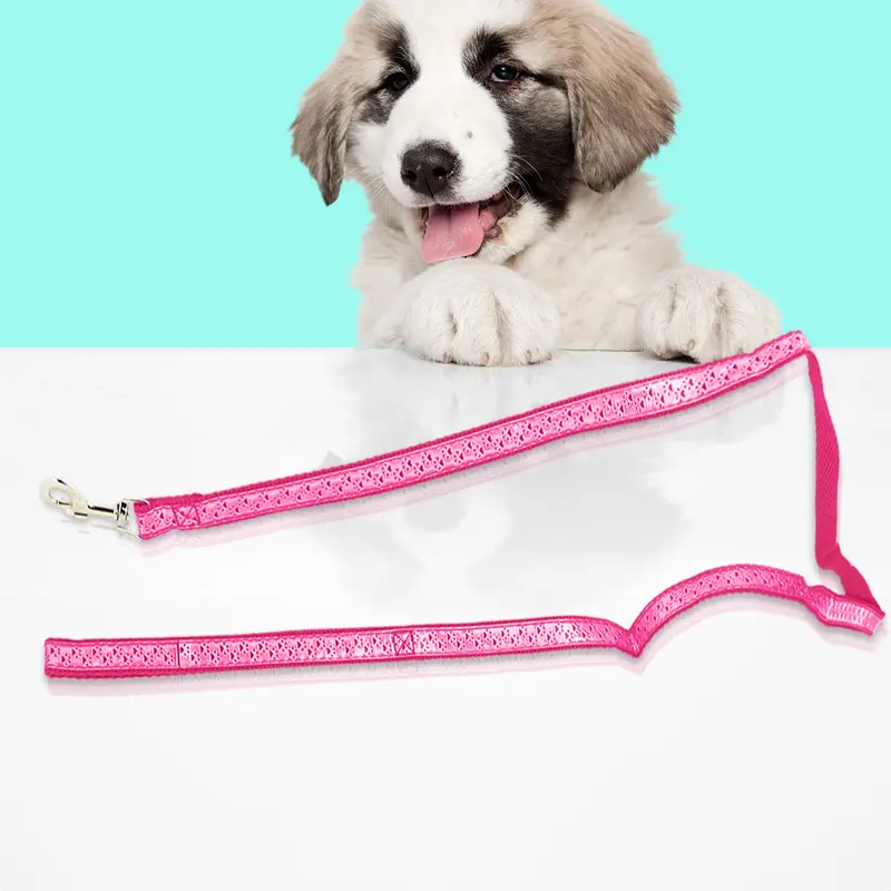 Correa Color Fucsia Para Perro, 1.30M 2