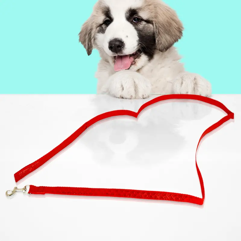 Correa Color Rojo Para Perro, 1.30M 2