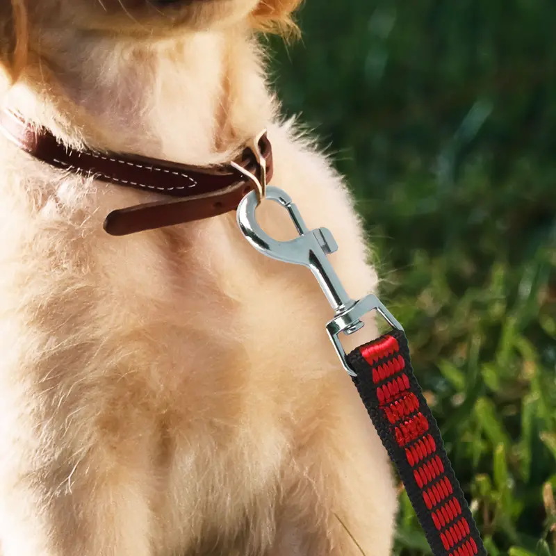 Correa Color Rojo Para Perro, 130Cm 1