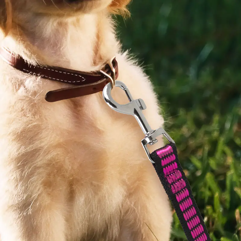 Correa Color Rosa Para Perro, 130Cm 1