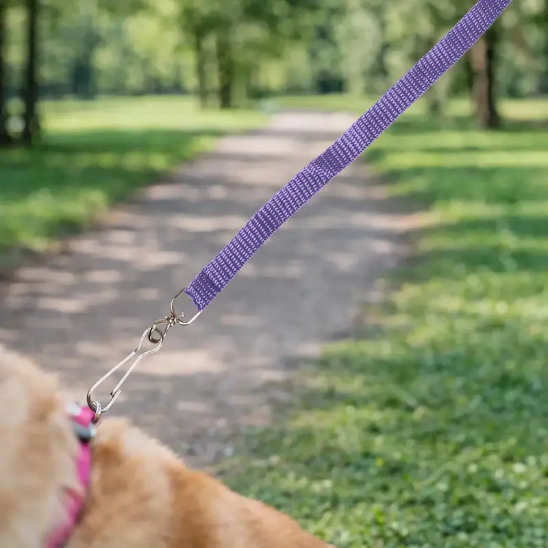 Correa Para Mascota, Color Morado 1