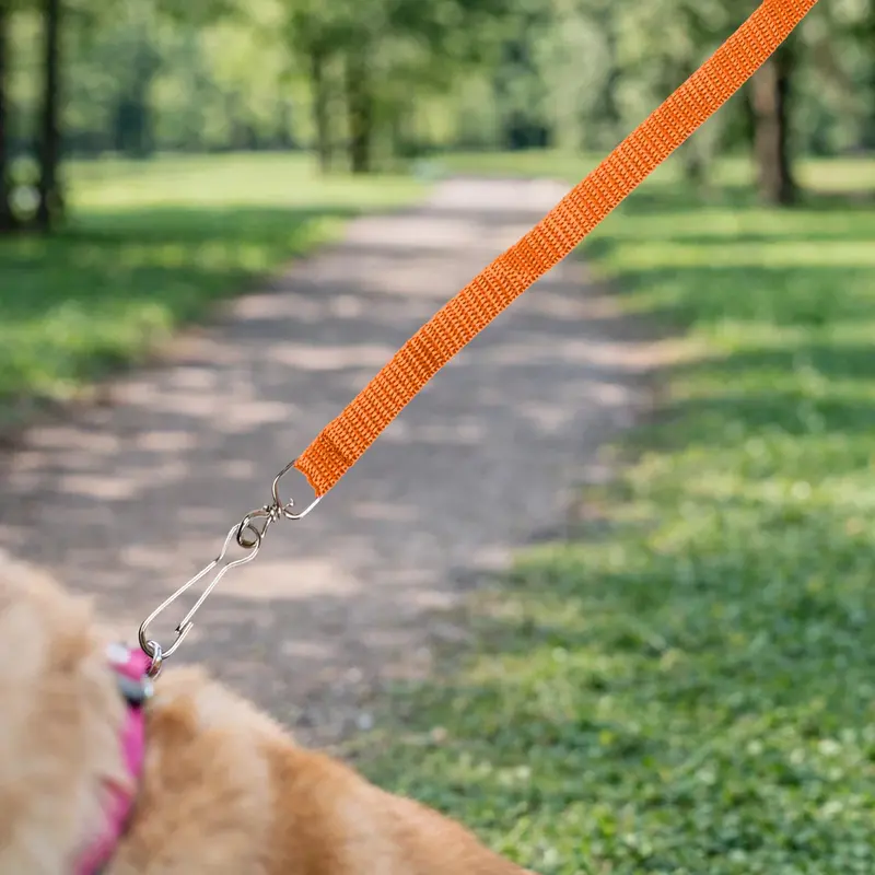 Correa Para Mascota, Color Naranja 1