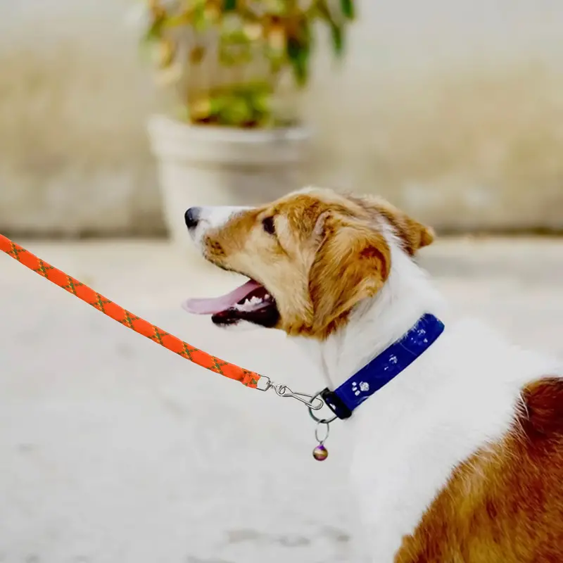 Correa Para Mascota Doble Tejido, Color Naranja 1