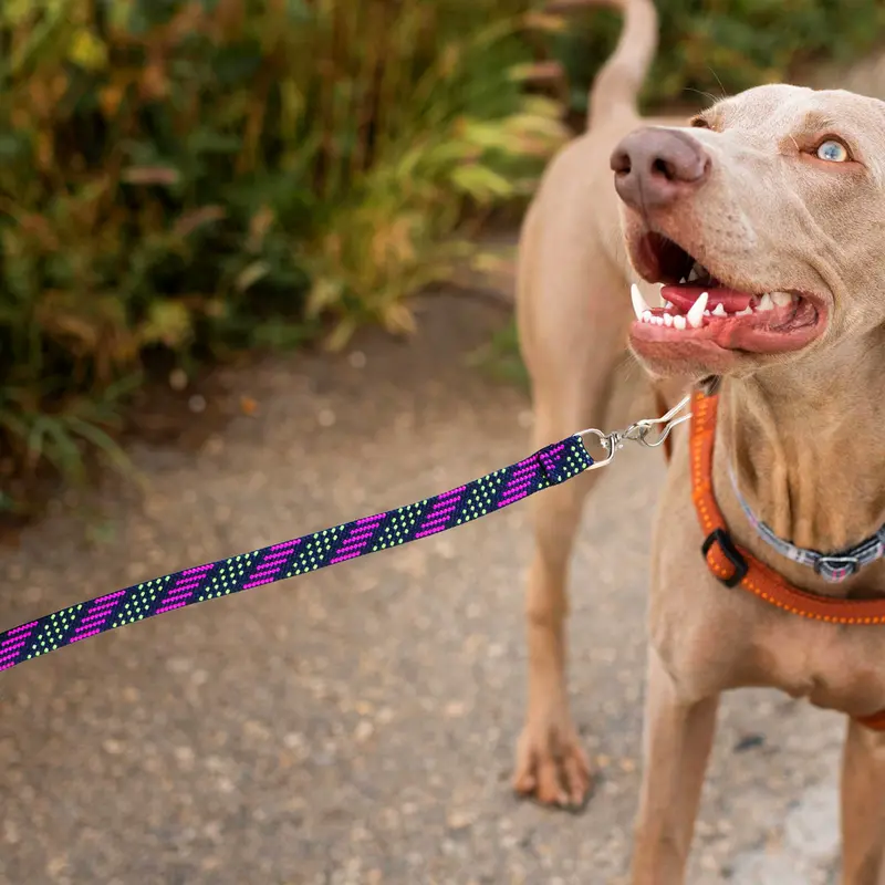 Correa Para Mascota Doble Tejido, Colores 1