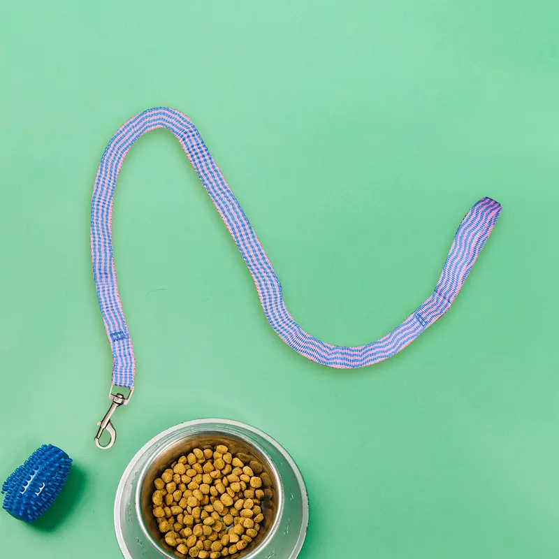 Correa Para Perro, Color Rosa Con Azul 1