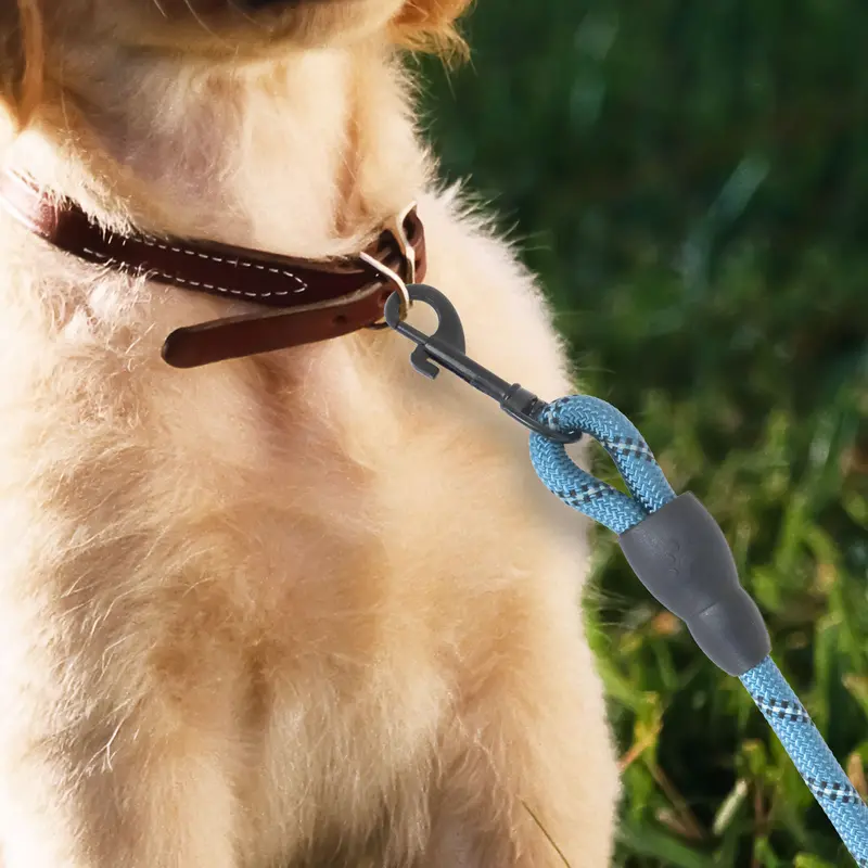 Correa Premium Color Azul Para Perro 1