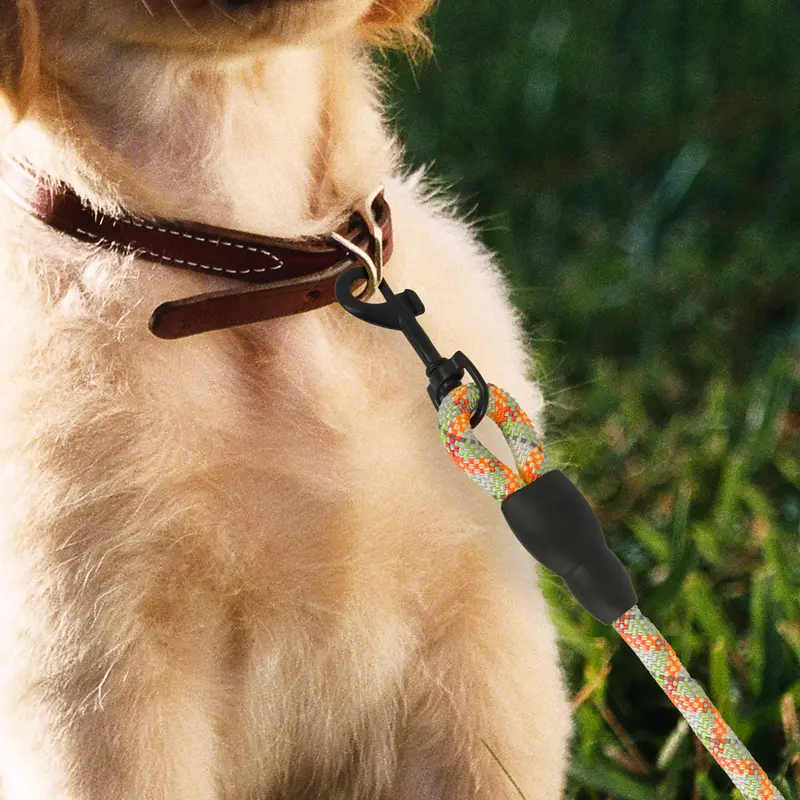 Correa Premium Color Naranja Con Verde Para Perro 1