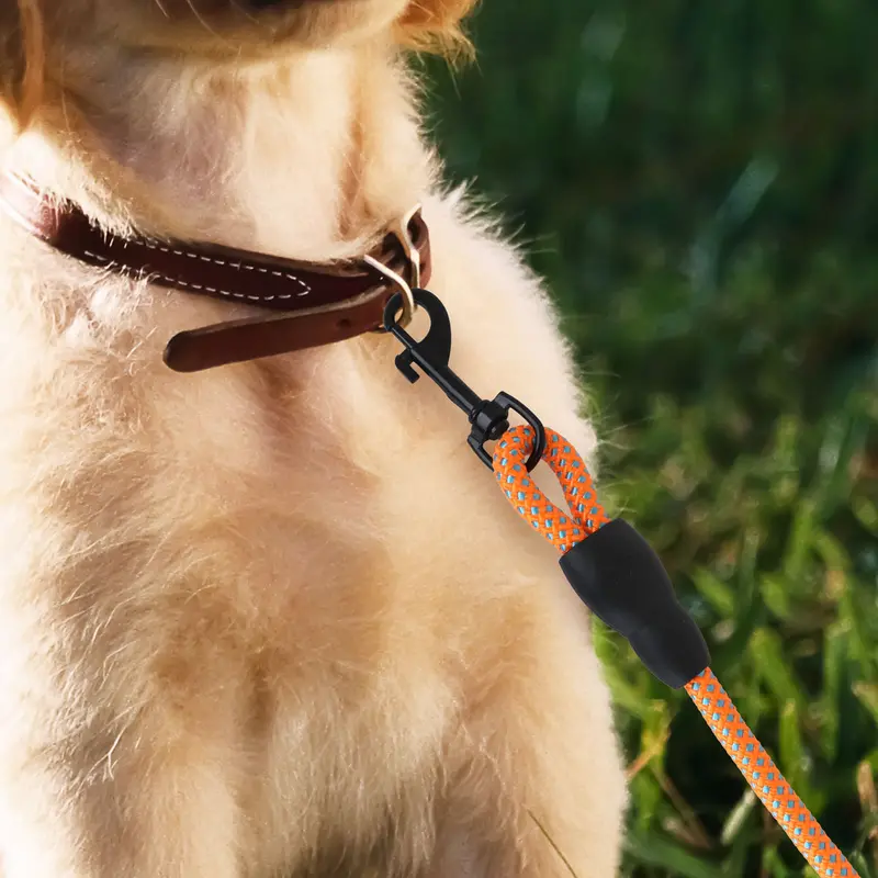 Correa Premium Color Naranja Para Perro 2