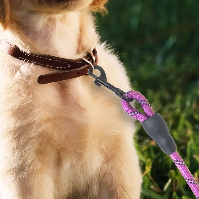 Correa Premium Color Rosa Con Negro Para Perro 1