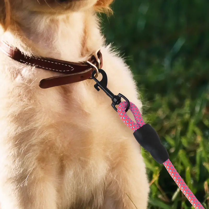 Correa Premium Color Rosa Para Perro 1
