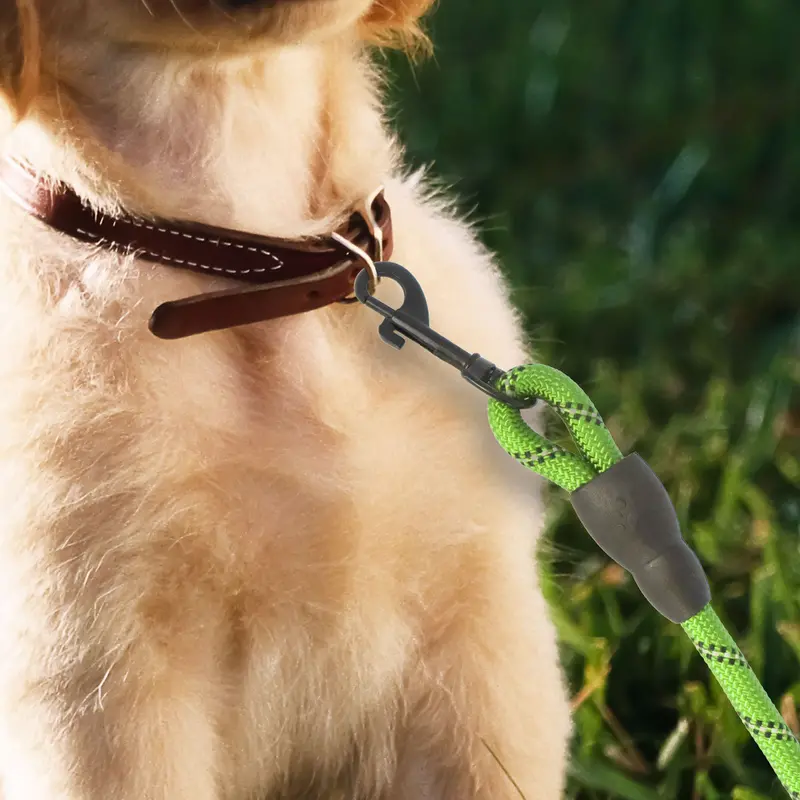 Correa Premium Color Verde Para Perro 1