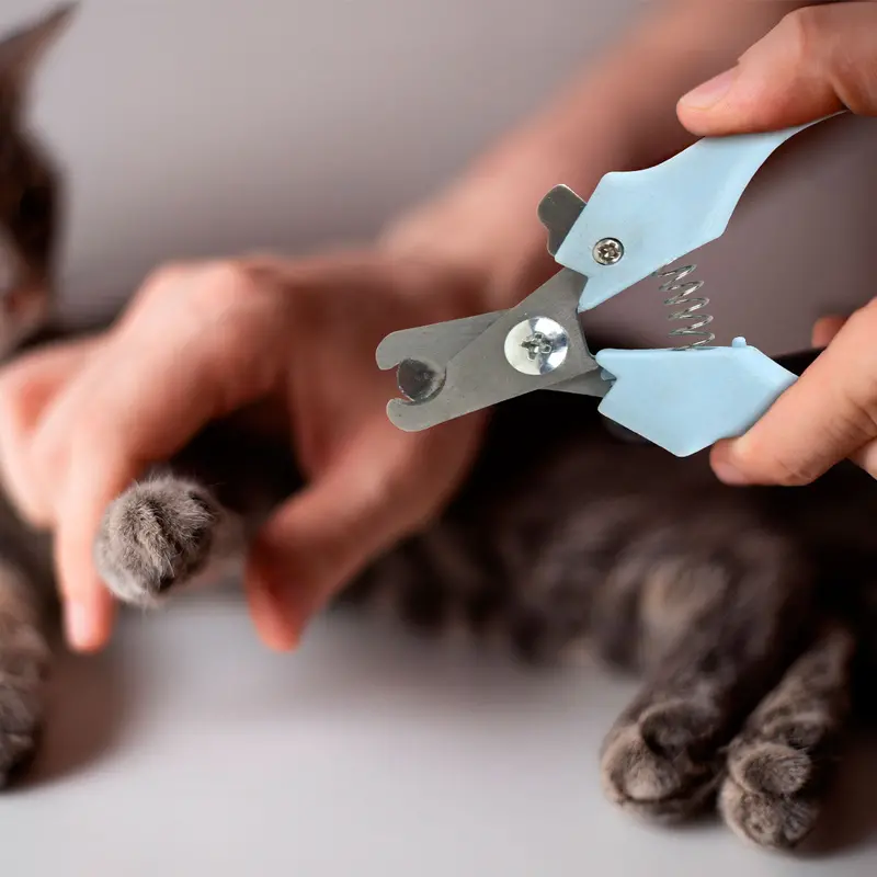 Cortaúñas Color Azul Para Mascotas, Amazin Pet 1