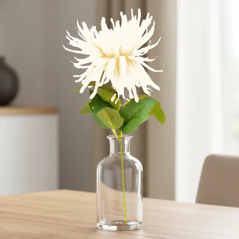 Crisantemo, Color Blanco 1