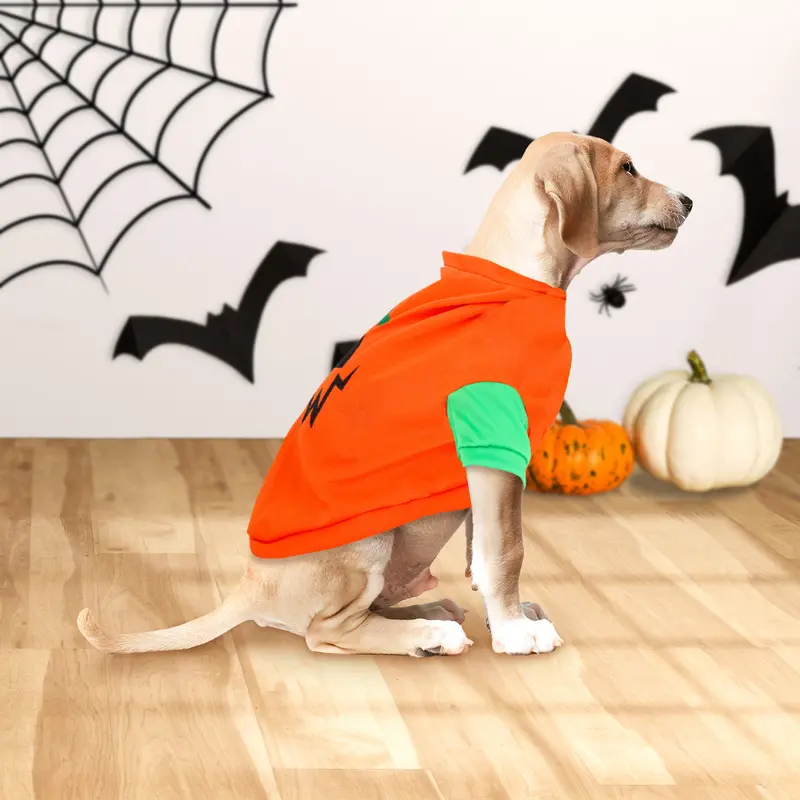 Disfraz Con Diseño De Calabaza Para Mascota, Talla G 1