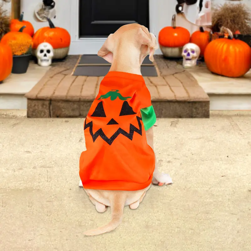 Disfraz Con Diseño De Calabaza Para Mascota, Talla G 2