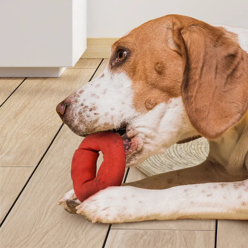Dona De Carnaza Para Perro 1